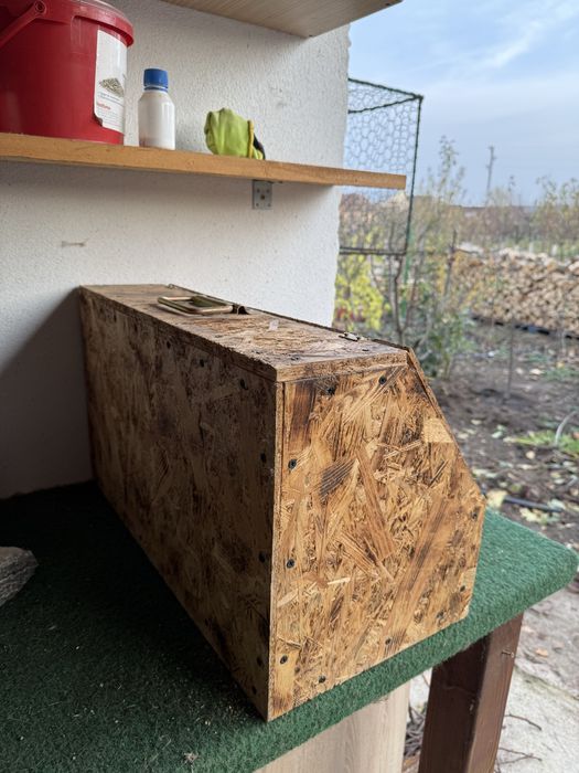 Cutii de transport iepuri