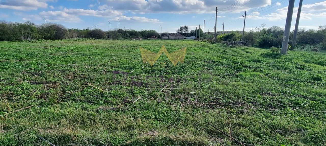 Продава се Парцел в с. Поручик Чунчево, Област Добрич - 4310 кв.м за 8 €/кв.м - Снимка #1