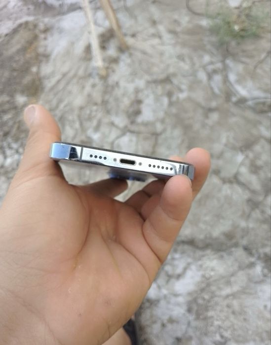 iPhone 13 Pro Max 256/100%