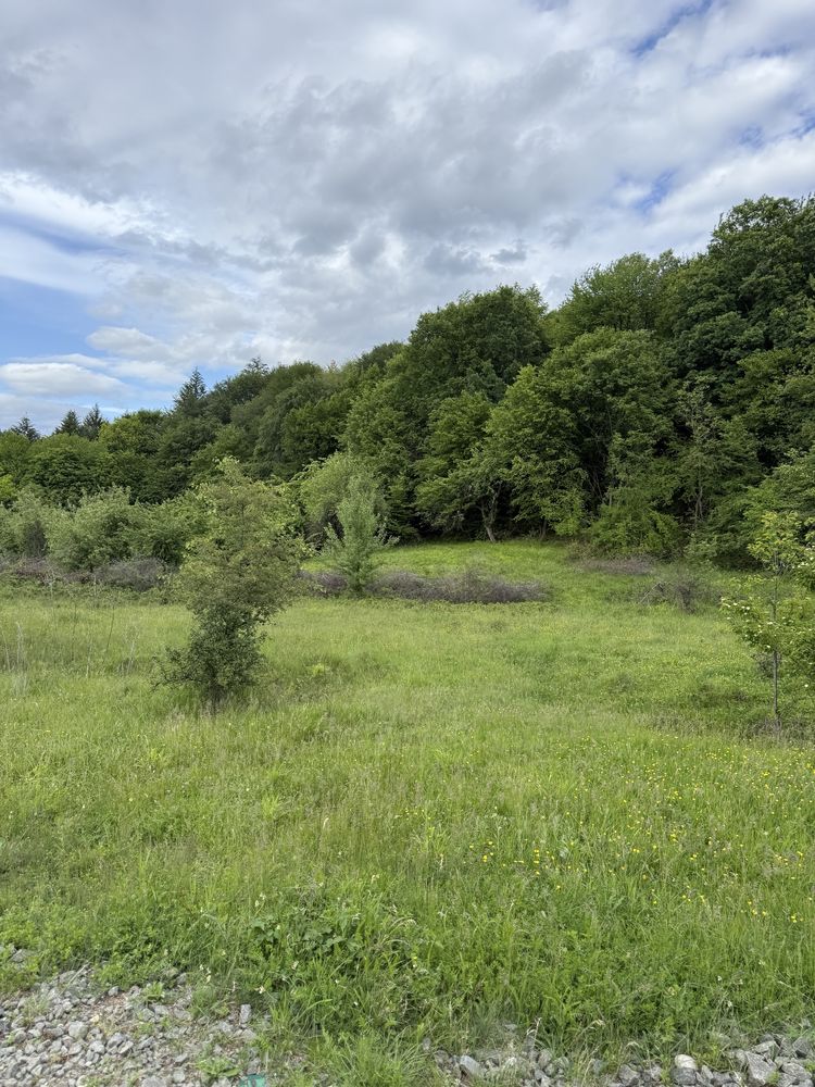 4600 mp Budesti priveliste panoramica asupra orasului Valcea 12500 €
