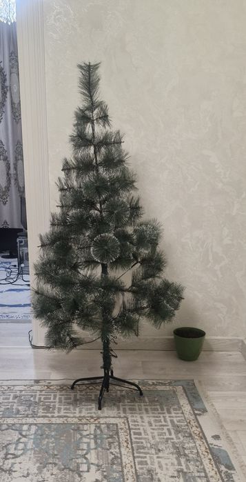 Елки домашний высота