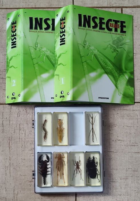 DeAgostini-insecte în rășină