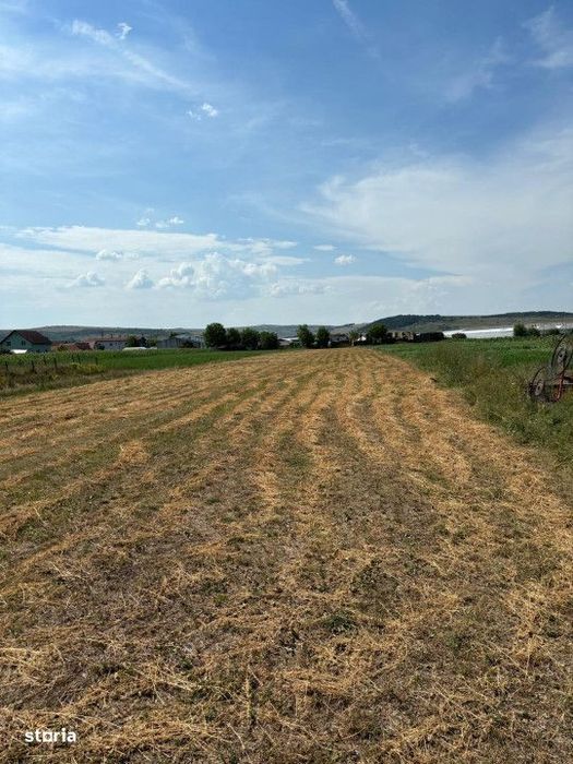 Teren Intravilan de vanzare,5800 mp in Jucu de Mijloc