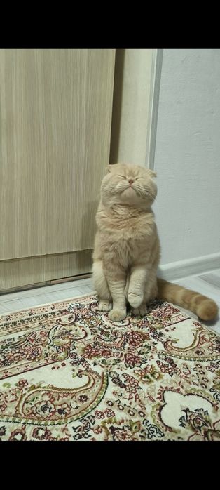 Vyazkagaaaaaaaaaa