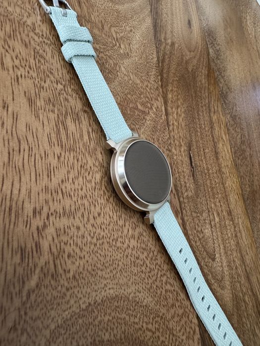 Smartwatch Garmin Lily 2