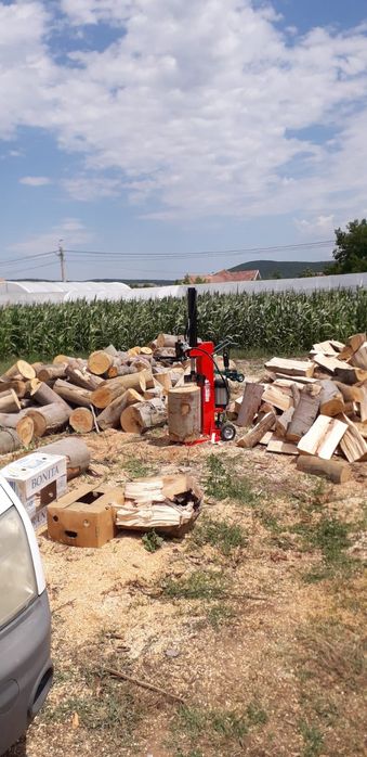 Drujbist tai lemne defrisez  toaletez pomi.