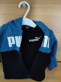 Trening Puma original