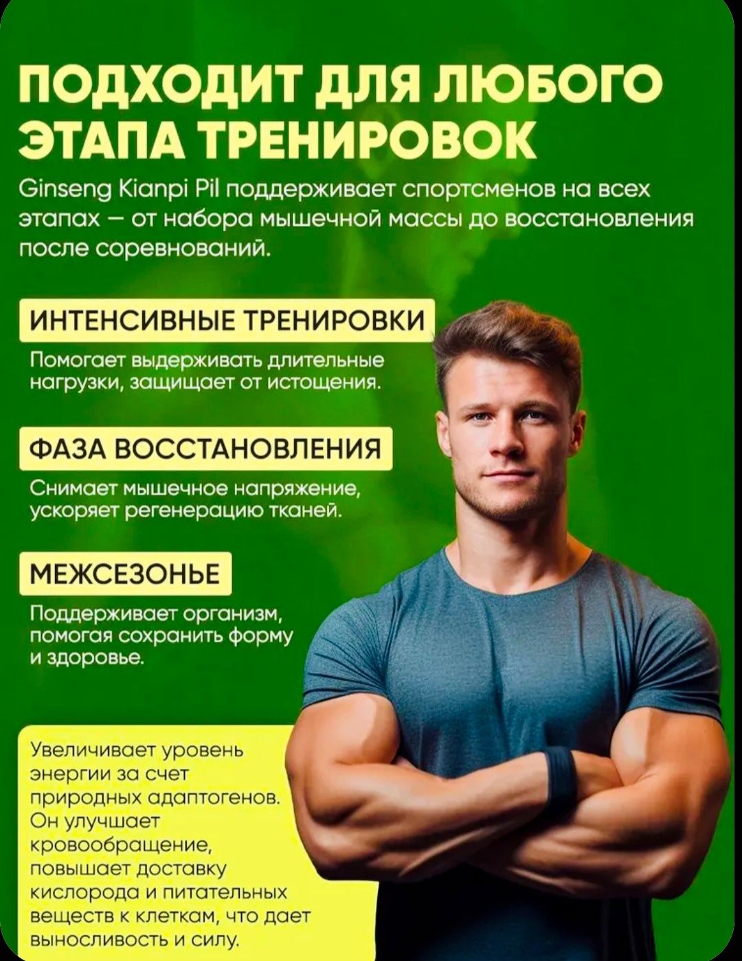 Женьшень (Женшен) Ginseng Kianpi Pil для набора мышечной массы