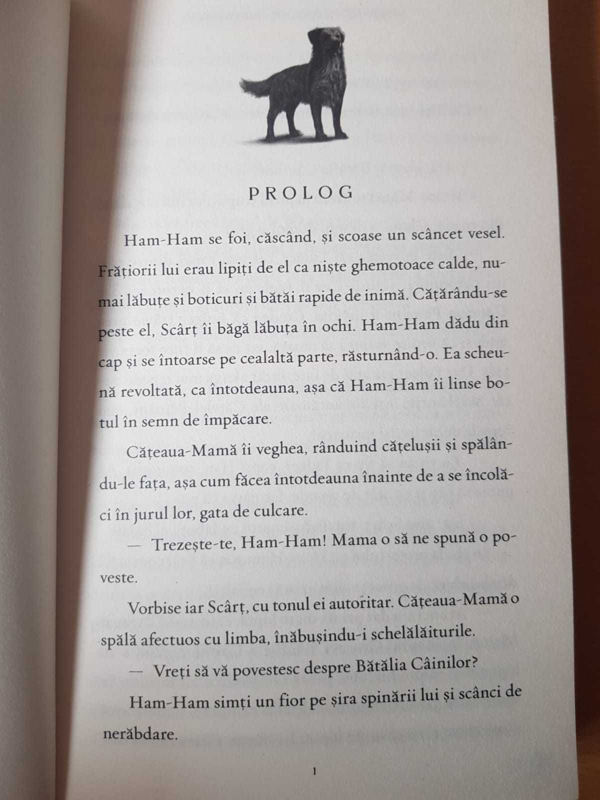 Supravietuitorii prima serie
