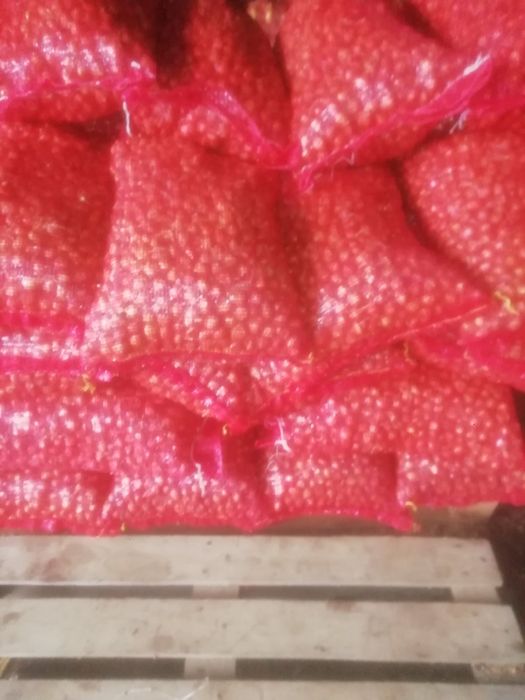 Продавам Арпаджикова Балучка