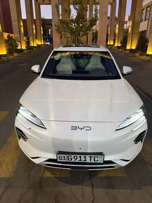 Byd champion 2024/25 restayling