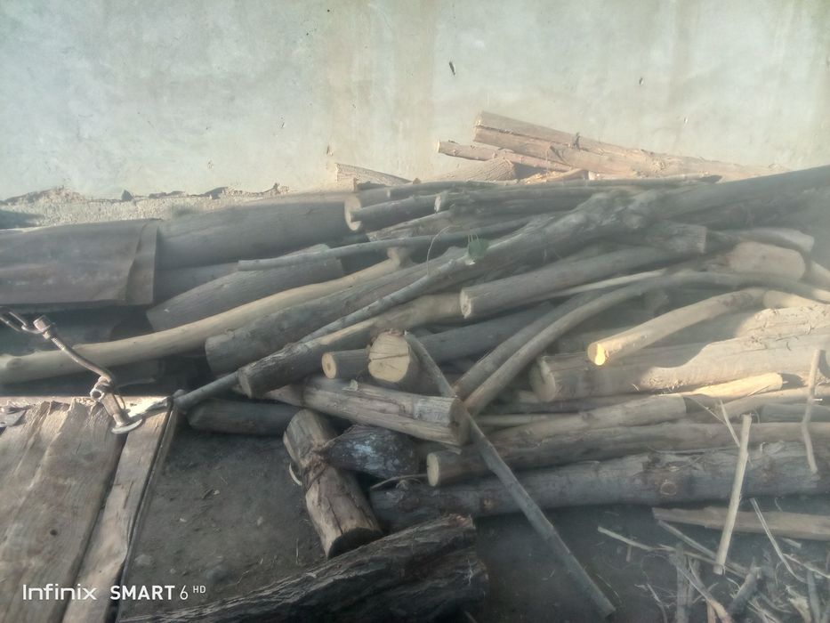 Мевали дарахт ўтинлари