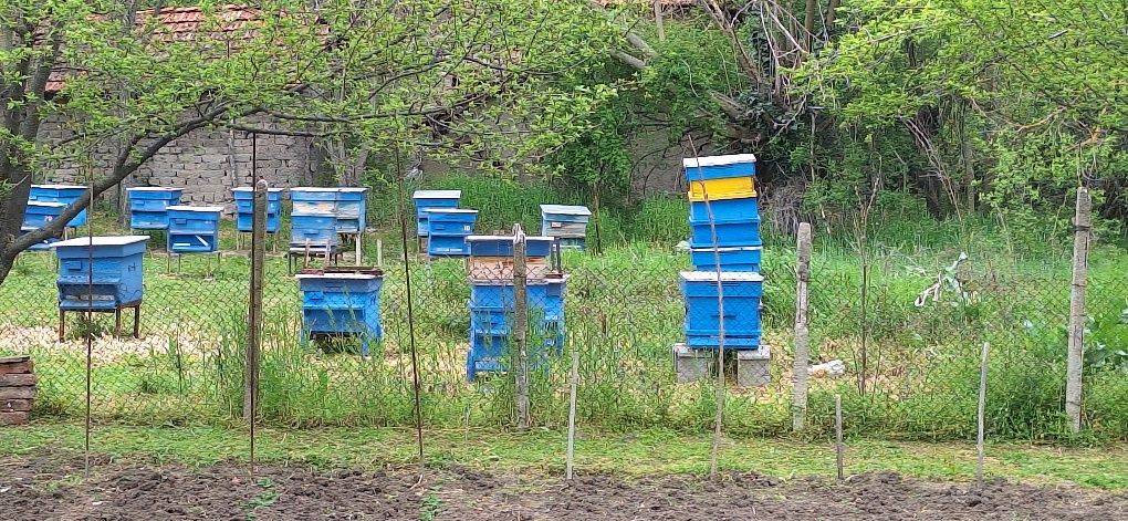 Пчелни кошери празни
