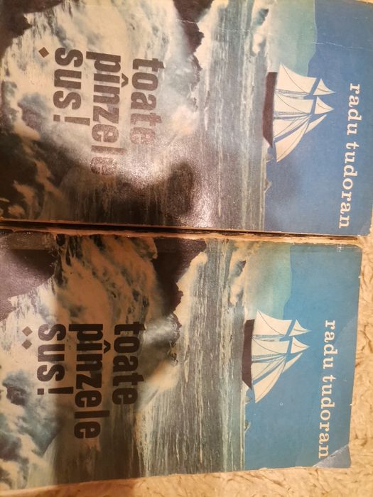 Toate panzele sus volumele I si II de Radu Tudoran