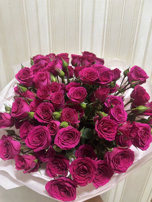 Свежий красивые