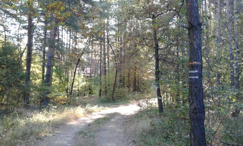 Продава се Парцел в Пловдив, Изгрев - 873 кв.м за 26 €/кв.м - Снимка #1