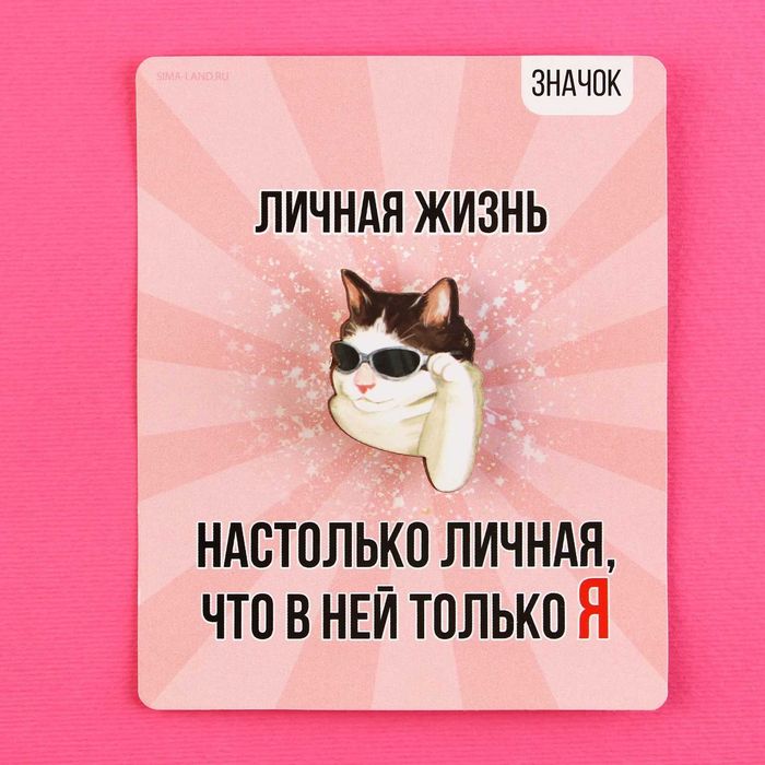Значок - брошь, деревянный серия мемы