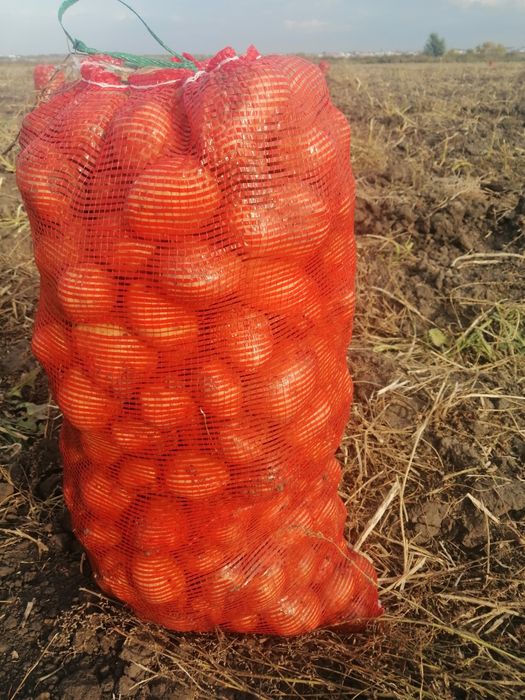 Продам  картофель едавой