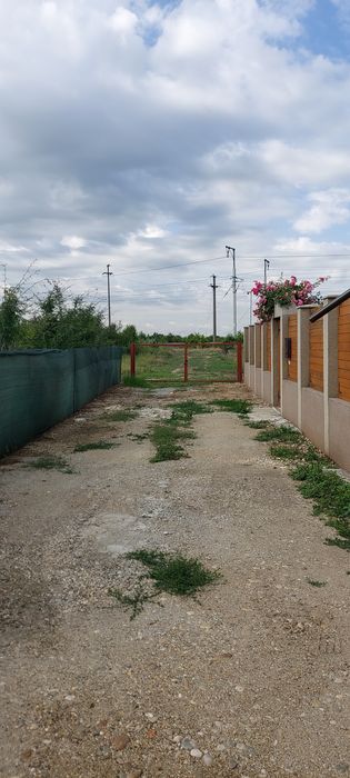 Vand teren ptr casa in Chitila Ilfov
