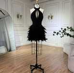 Rochie bijuterie, rochie nasa scurta