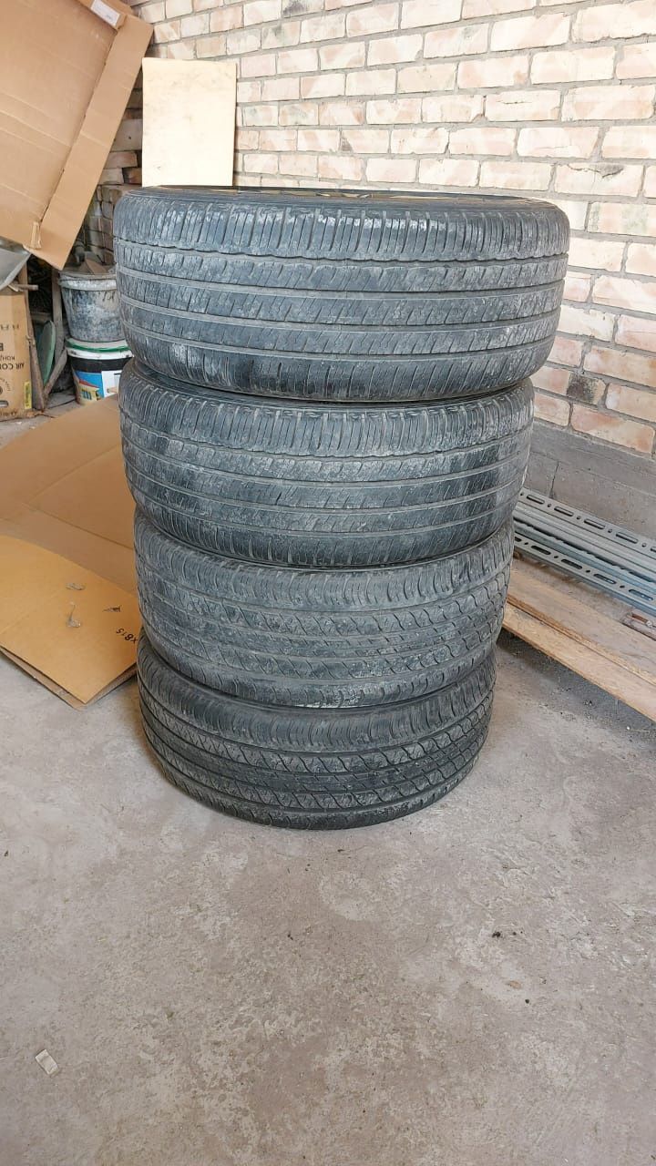 Балон дискамен р19