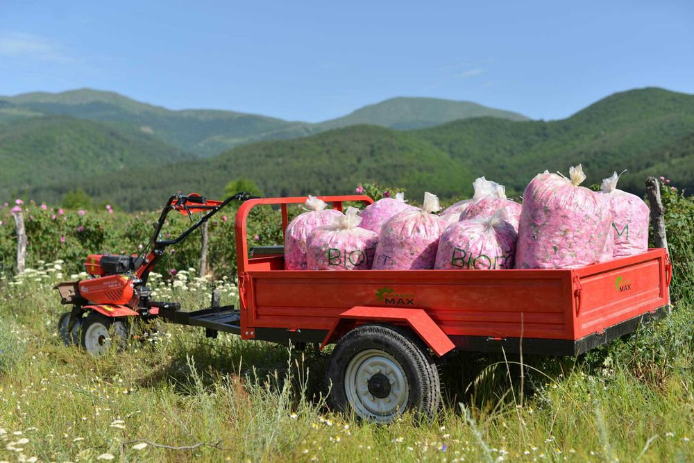 Продавам био розова вода на едро и дребно
