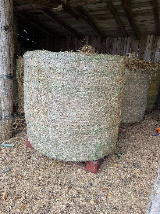 Baloti de fan foarte buni