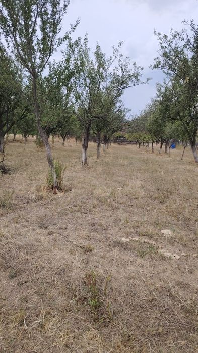 Teren intravilan de vânzare Polovragi