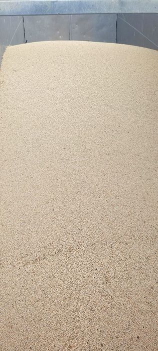 Mazăre furajera 2 lei kg