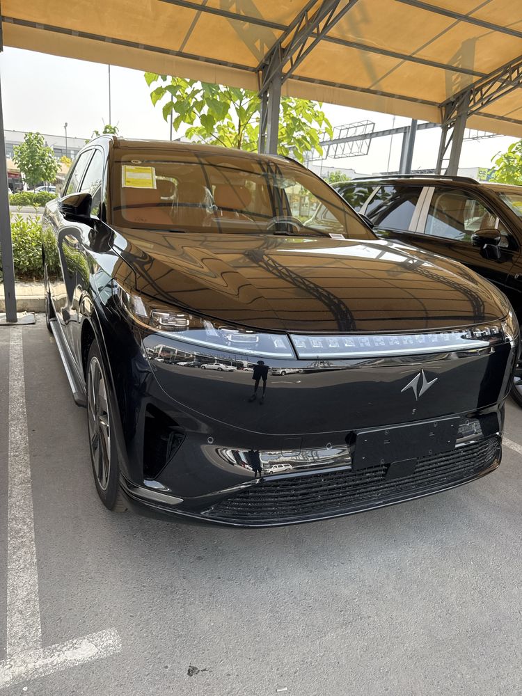 DONGFENG  EP008 210 max