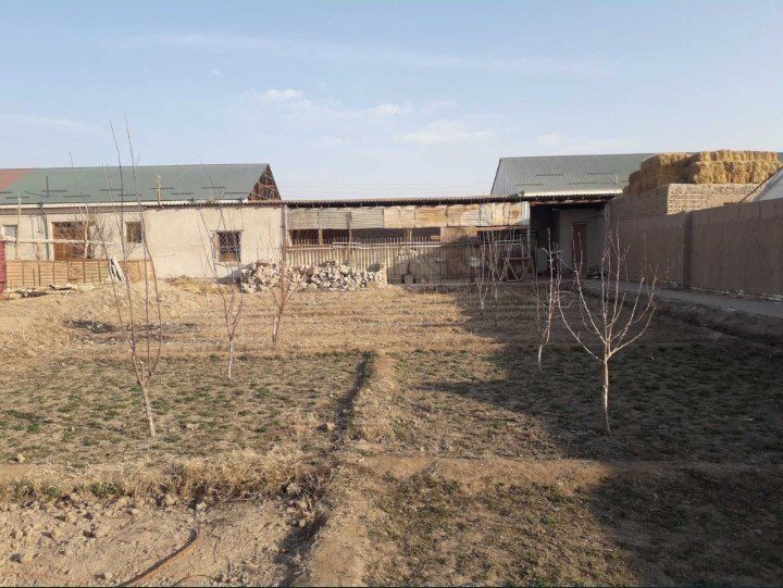 Goybu kollej yonda 300 kv joy urni