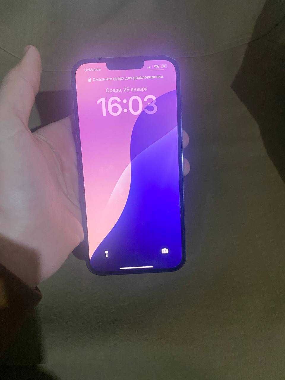 iPhone 13 pro max