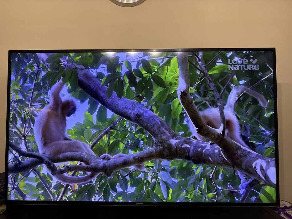 Телевизор Samsung 55 инча 4K Ultra HD