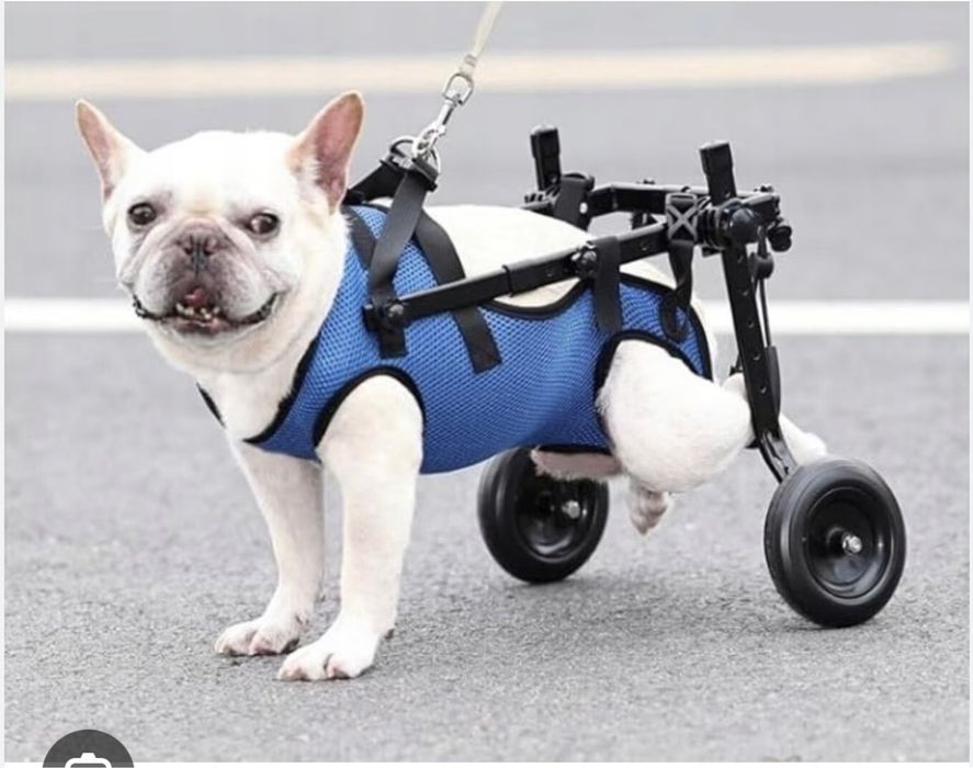 Помощна количка за куче