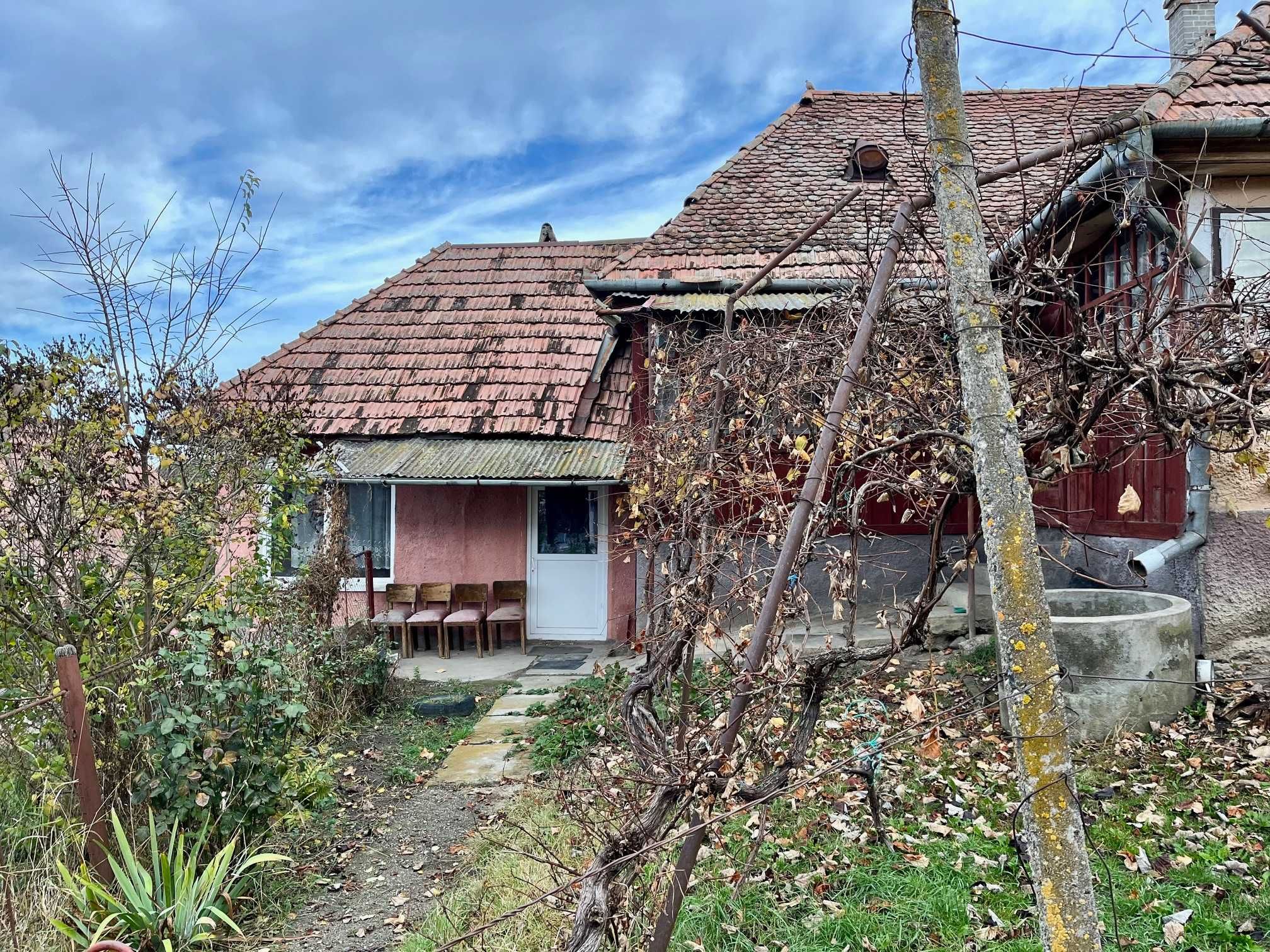 Vand casa particulara cu teren aprox. 42 ari si gradina