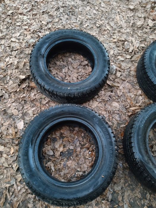 Прадам пакришка и вана зеркла