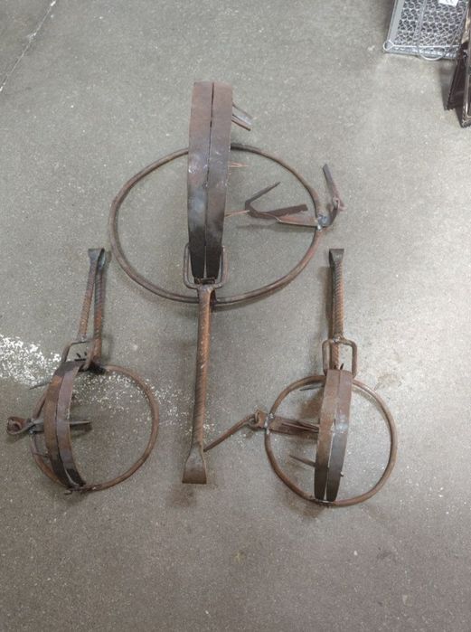 Capcana vulpi dihori șobolani