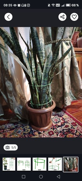 Опора для цветов