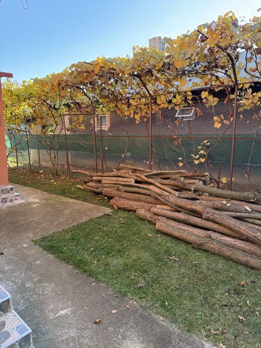 Vand lemne salcam de foc sau stalpi, bulumaci