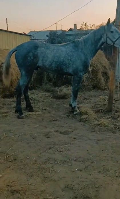 Срочно продам 400000