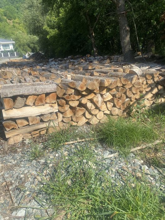 Lemn foc fag, salcam, carpen, stejar, frasin, tei, plop