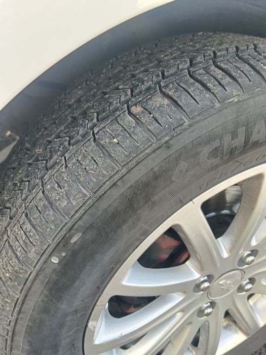 abmen varant telegramdan tashang daplatabilan faqat