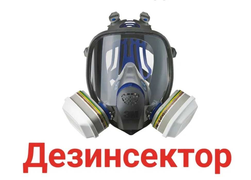 Dezinseksiya dezinfeksiya deratizatsiya Дезинфекция чивин пашша ари