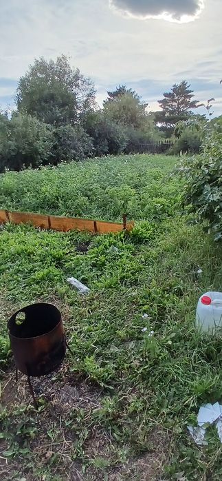 Продаю без торга. Дача на ромашке 8 км от маикудука. СОРТИРОВКА.