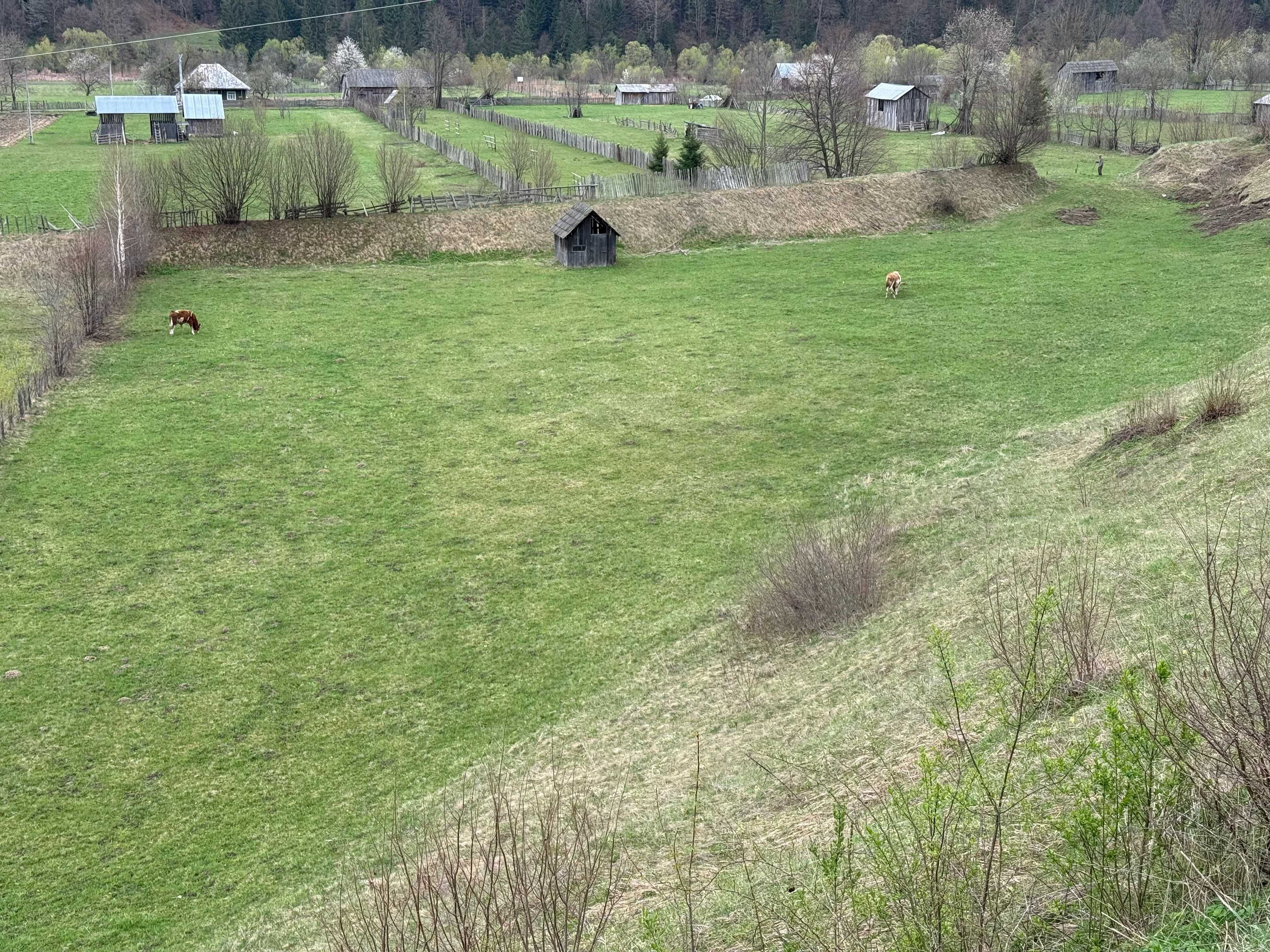 Teren de vanzare 9000m2 zona Bradu Neamt