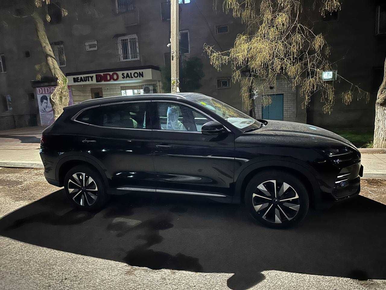 BYD chepion 2025