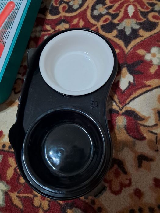 Mushuk uchun narsalar sotiladi