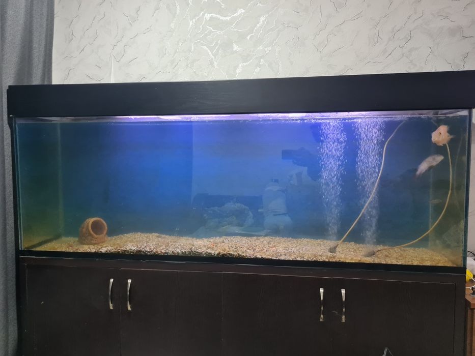 Продам аквариум 180 см.