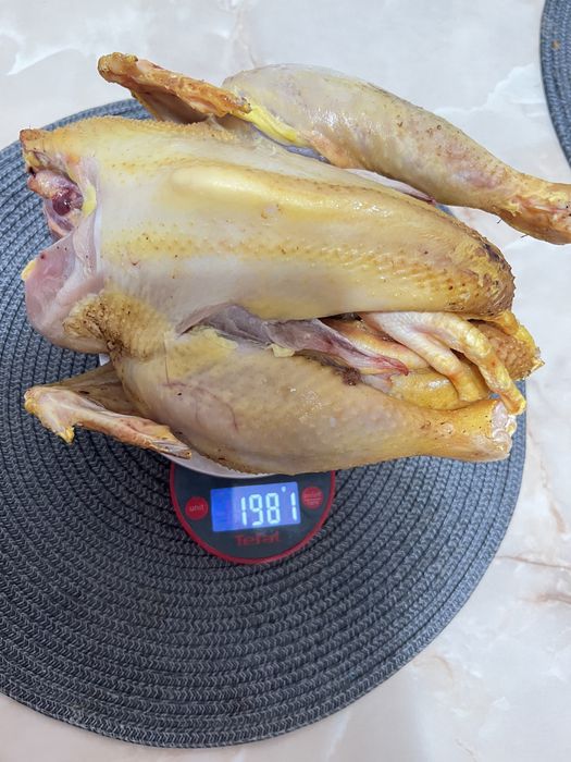 Pui si oua de țară. Pasari hranite 100% cu cereale