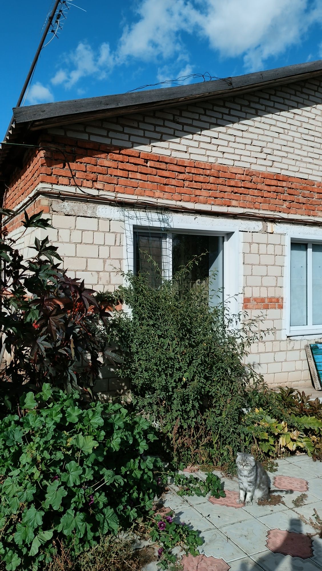 Дом в п.Дарьинск
